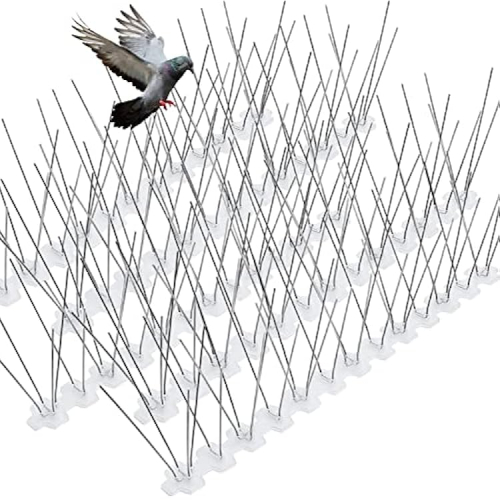 681f324929da92a9fe0db3b9-bird-spikes-for-pigeons-small-birds
