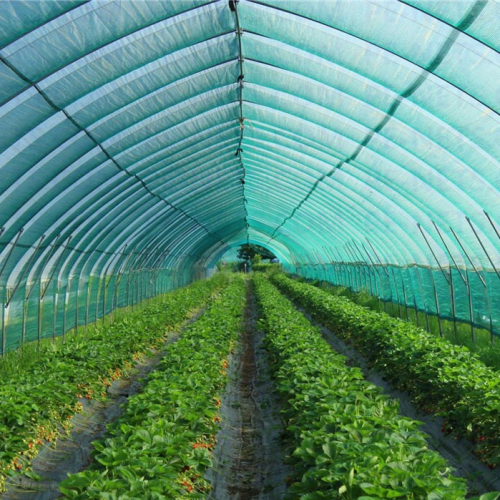 agro-green-nets-19